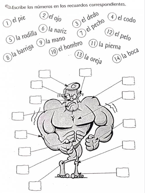 5) El mundo hispánico p 28 + comprensión oral p31