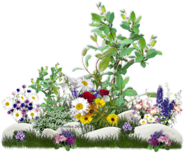 Passion d'un jardinier ...