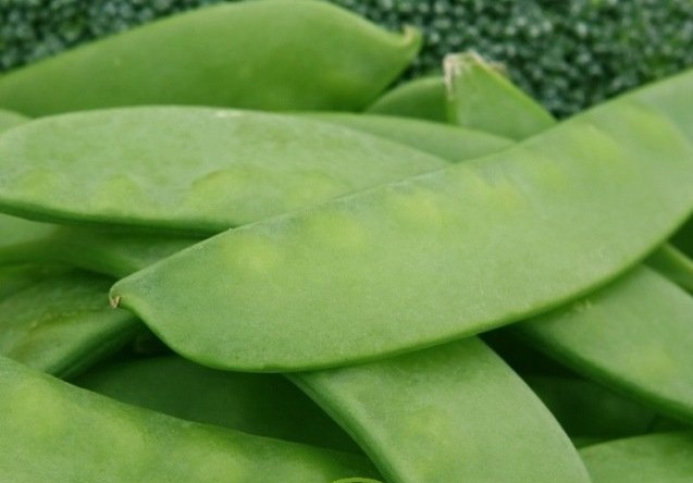 Légumes du mois de Juillet