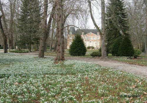 La Ferté Beauharnais  (Loir-et-Cher)