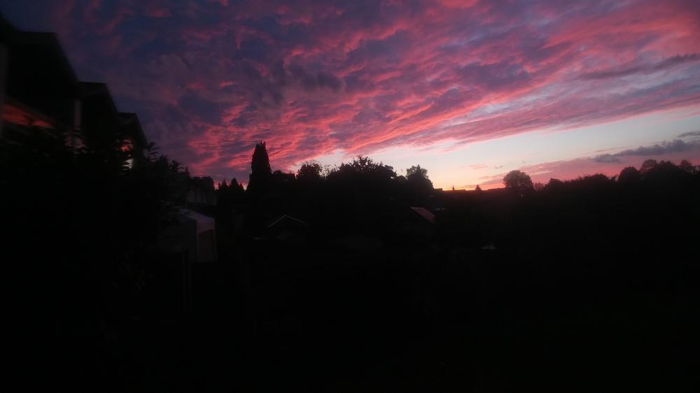 Peaceful Day at Home on July 16th 2024