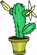 *☆*:;;;;;;:*☆*Plante Grasse *☆*:;;;;;:*☆*