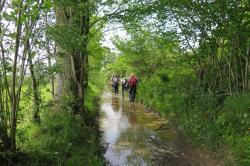 La randonnée du 30 mai à Montchauvet