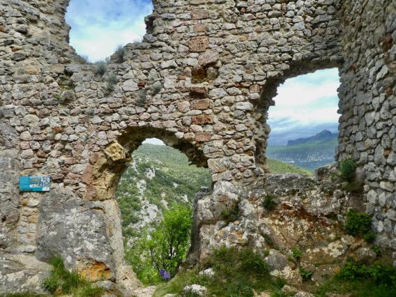 Peut être une image de nature