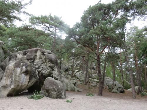 Rando en forêt de Fontainebleau