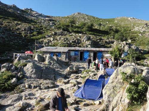 CORSE GR 20
