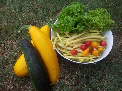 Le vrai goût des légumes