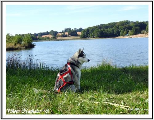 Photos de vacances 4