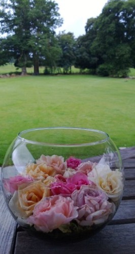 WP_20130807_078.jpg