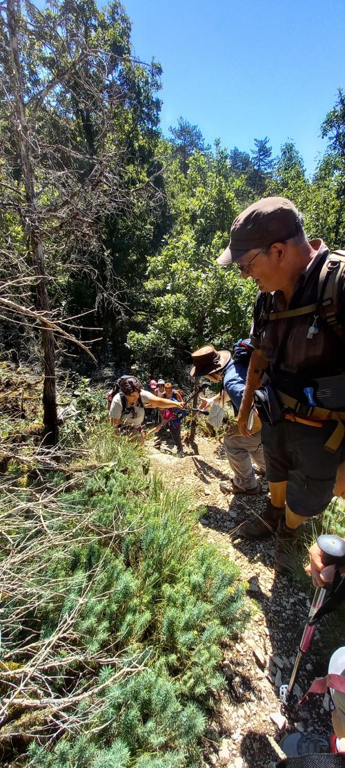 "Pont-de-Pany" - Mercredi 13 juillet 2022