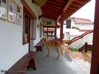 (J13) Santona / Güemes 17 Avril 2012 (La Cabana del Abuelo)