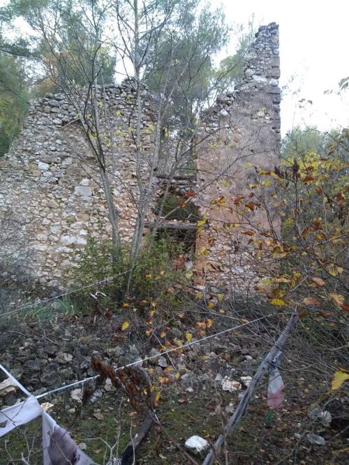 Campement abandonné, rebus de cyclo : Forêt à l'Orée de la ville