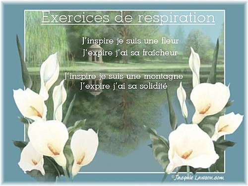 montage pps blog