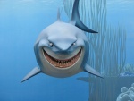 Requin'ké!