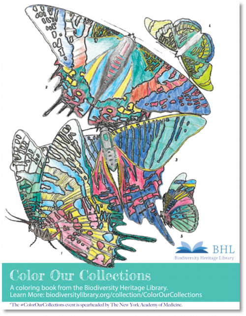 Biodiversity Heritage Library