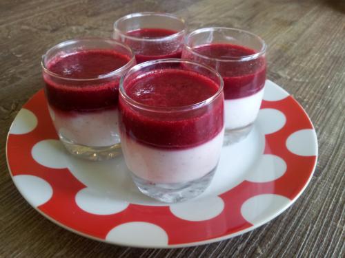 Panacotta Paléo
