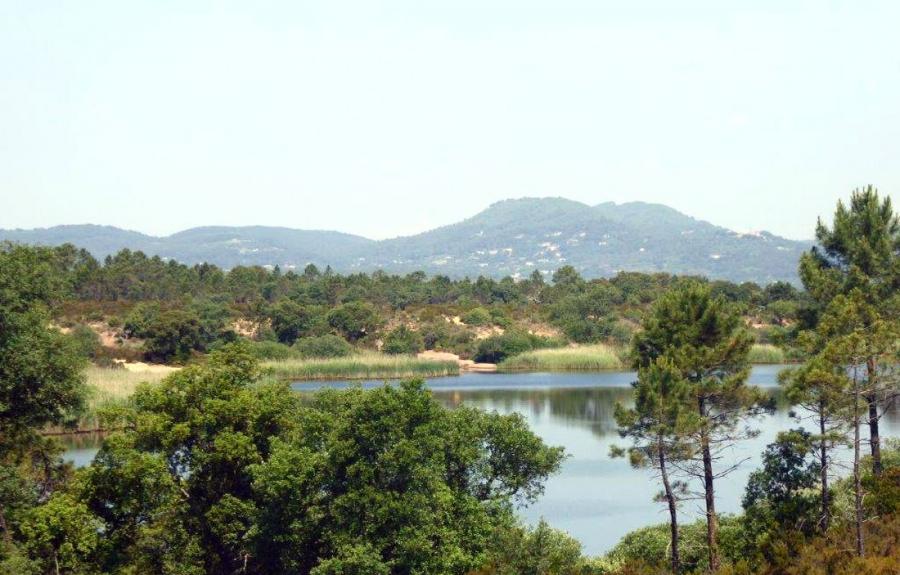 LAC DES ESCARCETS : samedi 15 mai