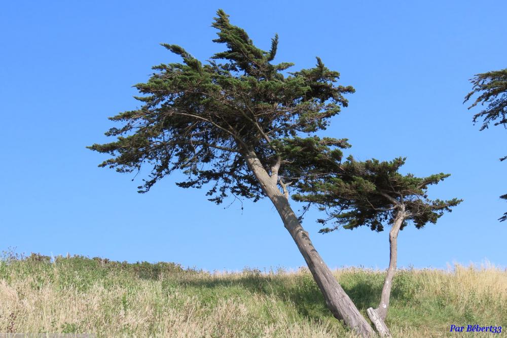 Randonnée près de Pornic