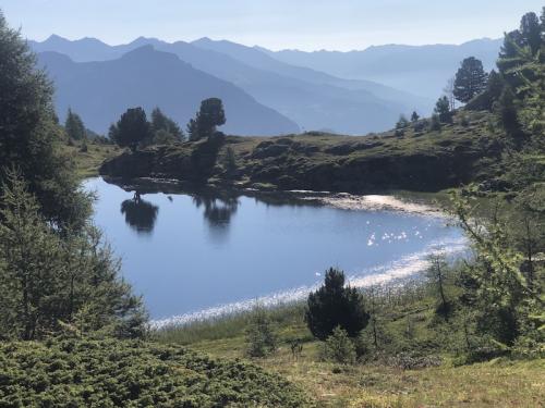 Sommet du Col Bas - Lac Noir 