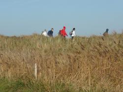 La randonnée du 18 novembre à Ver-sur-Mer