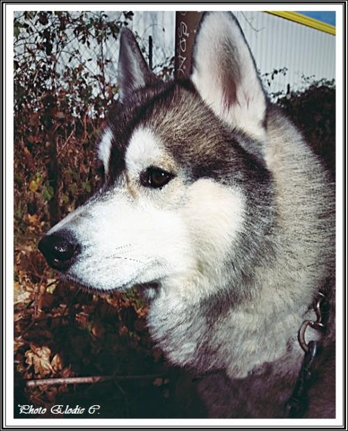 Eden (4,5 ans)