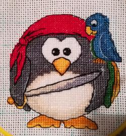 Pingouin pirate !!!
