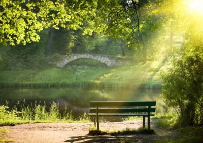 Paysage
