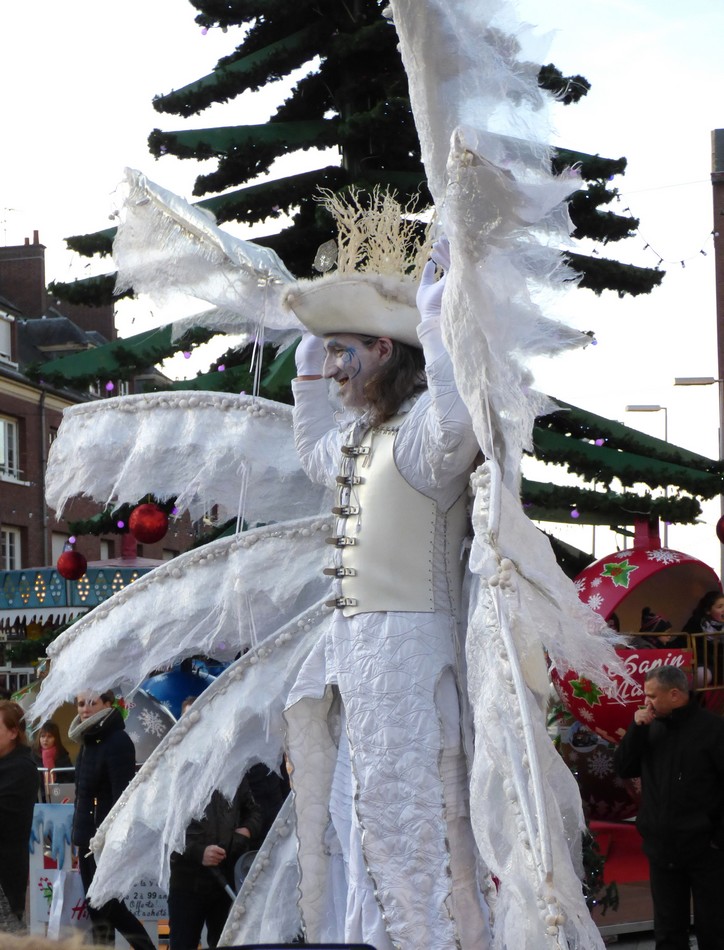 Les Echassiers Lumineux