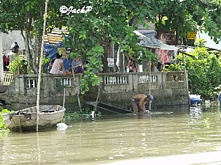 P5276697marq