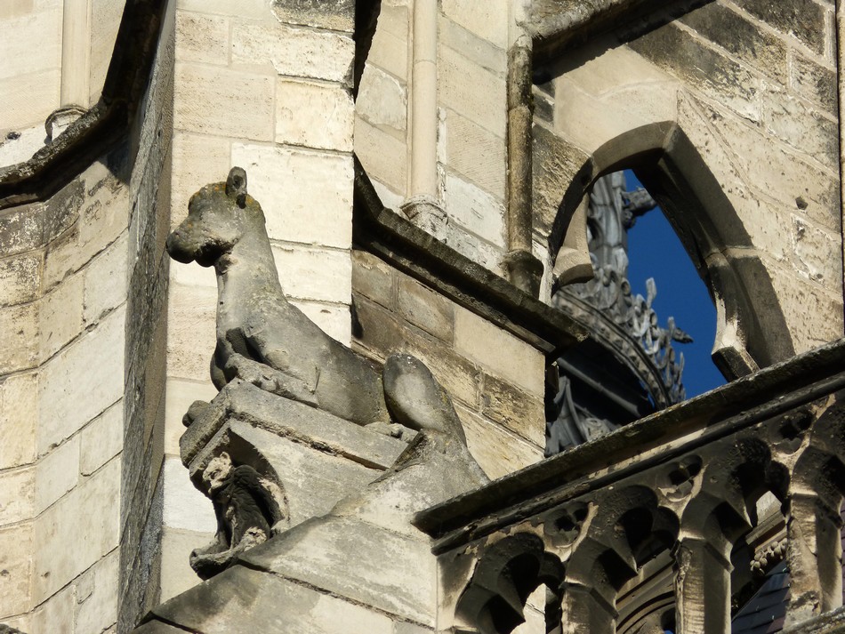 Les gargouilles de la Dame d'Amiens
