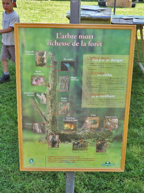 La fête de l'Automne 2011 à Leuglay...