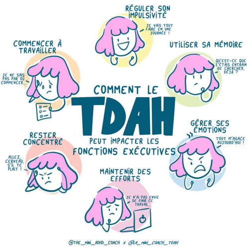 Les fonctions exécutives