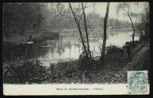 Bois de Saint Cucufa  (Hauts de Seine)