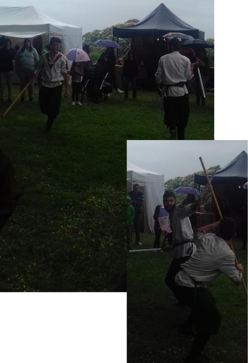 NOGENT-LE-ROTROU (festival Percheval 2/2)