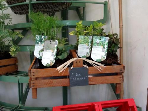 La fête des jardins au château de Montigny sur Aube...