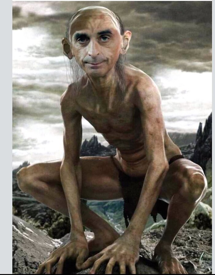 TU ES RESPONSABLE ZEMMOUR !!!