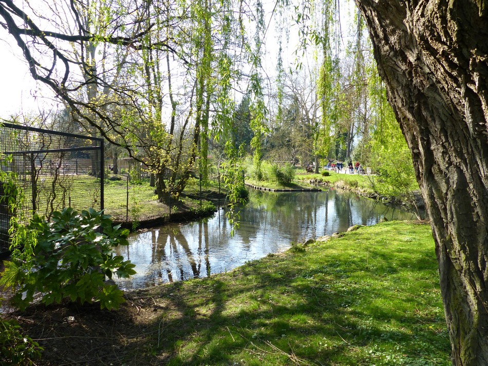 Le parc du Zoo d'Amiens