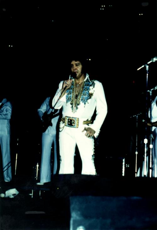photo elvis