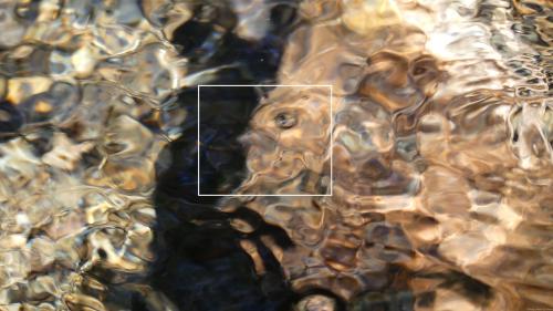 Les poissons émanants