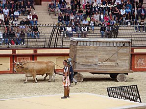Dsc05669marq