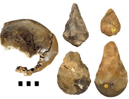 2 - Pléistocène moyen (-780 ka ) : les humains d'avant Néandertal