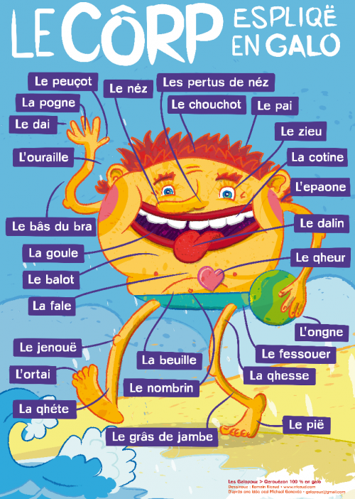 le côrp