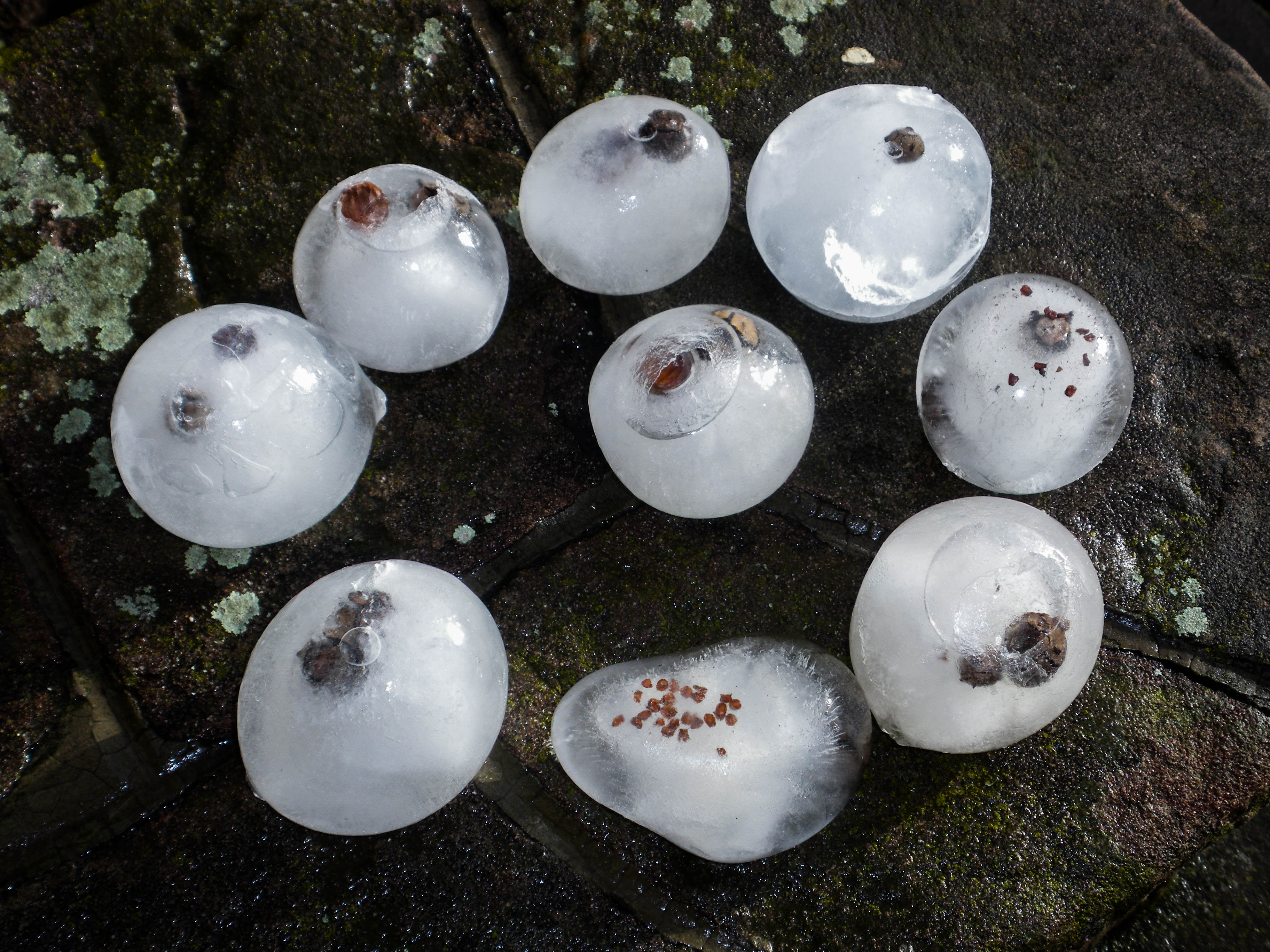 Le land-art d'hiver en MS -