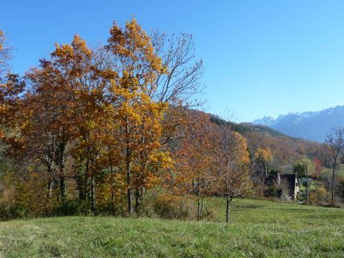 Lundi en une deux trois quatre (ou plus ) photos 
