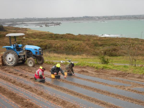Courageux nos agriculteurs !