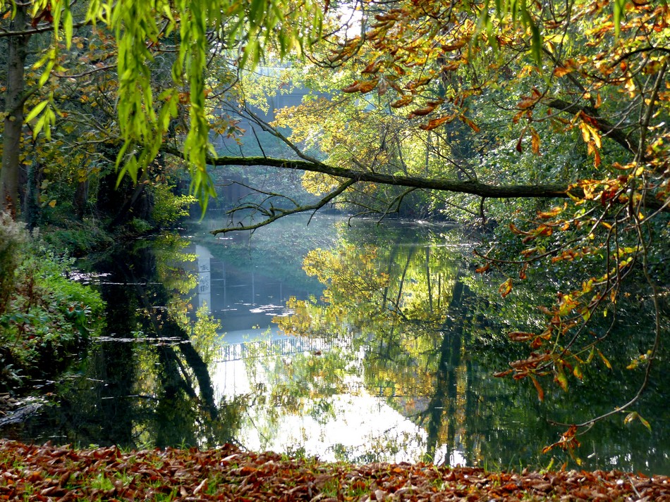 Le parc avant l'hiver