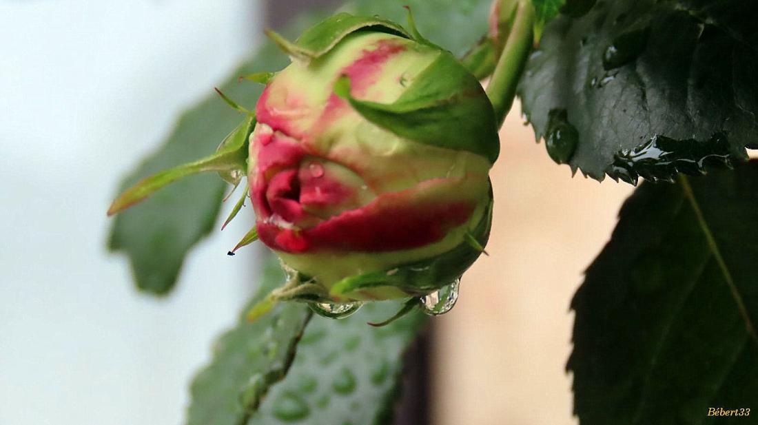 une pause à Puylaurens