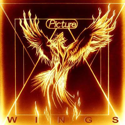 PICTURE - Les détails du nouvel album Wings