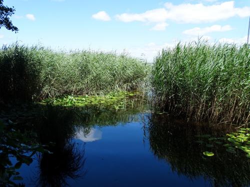 Belle journée d'été sur le lac de Lacanau...