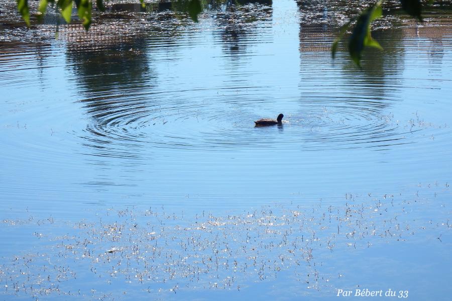 Naussac le lac dept 48 (2)